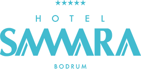 hotel-samara-logo