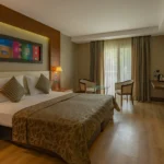 Hotel Samara şirketi modern dekorasyonlu kara manzaralı standart oda yatak ve oturma alanı